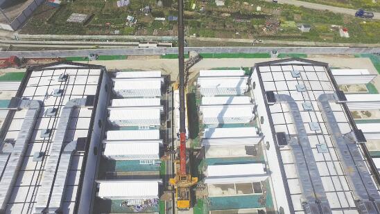 1594992824160614.jpg 1.jpg