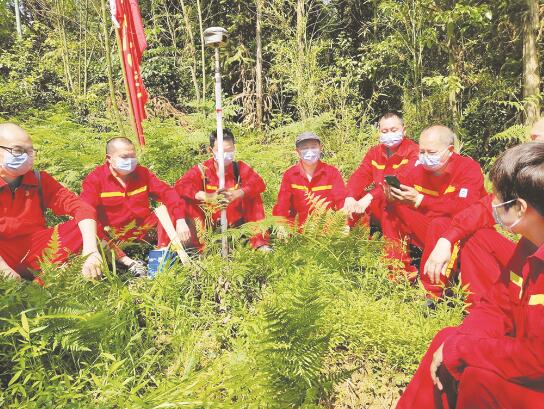 1601042456141196.jpg 1.jpg