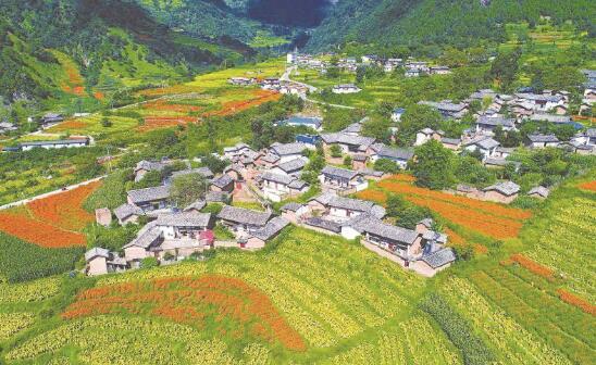 1601385990948932.jpg 2.jpg