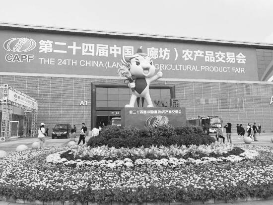 1601472936638735.jpg 1.jpg