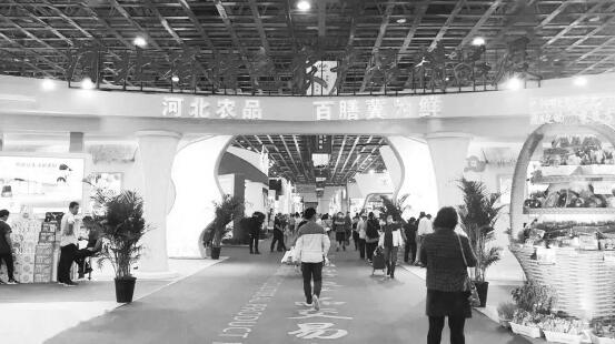 1601472940668276.jpg 2.jpg