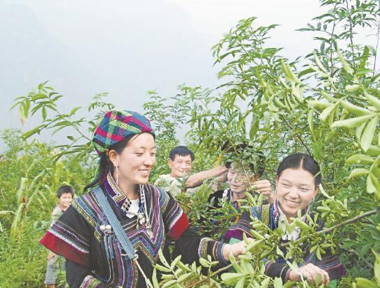 1601474150342548.jpg 1.jpg