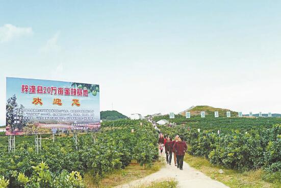 1601474170306346.jpg 2.jpg