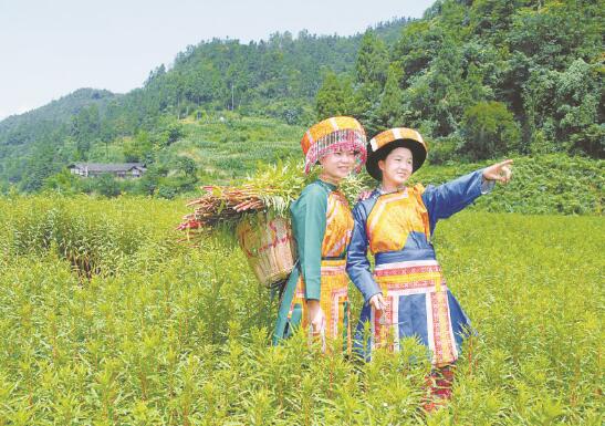 1601474189910954.jpg 3.jpg