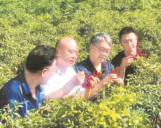 1601474211522994.jpg 4.jpg