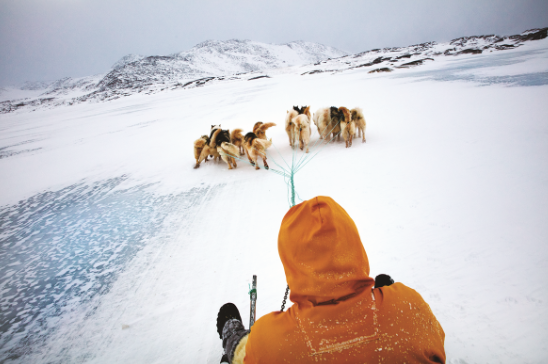 1602470461674421.png 2.png