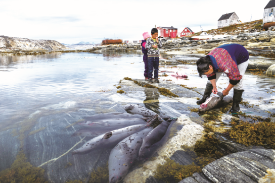 1602470520982367.png 5.png