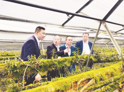 1602587182270365.png 3.png