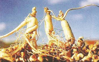 1602763813987618.png 2.png