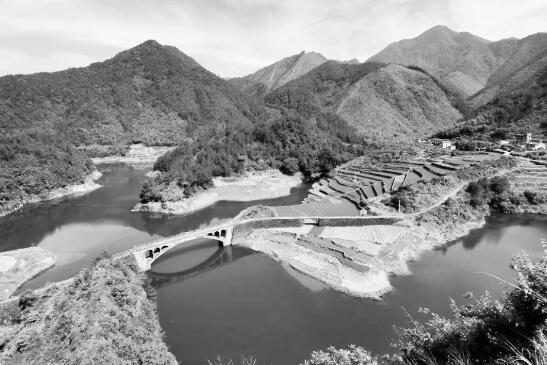 1602835292267130.jpg 1.jpg