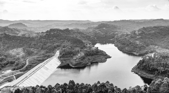 1603281533991340.png 11.png