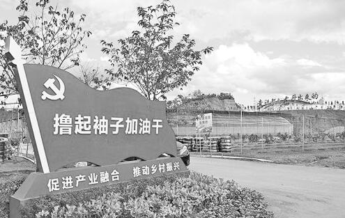 1606464535247007.jpg 1.jpg