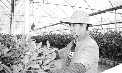 1606464556287243.jpg 2.jpg