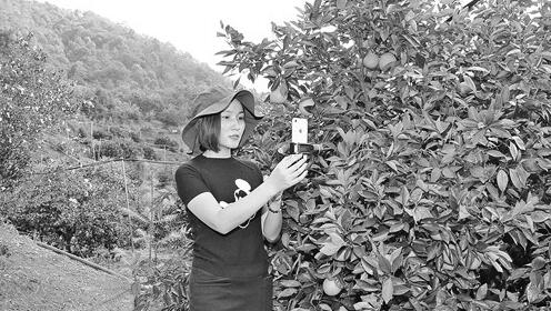 1606464576886606.jpg 3.jpg