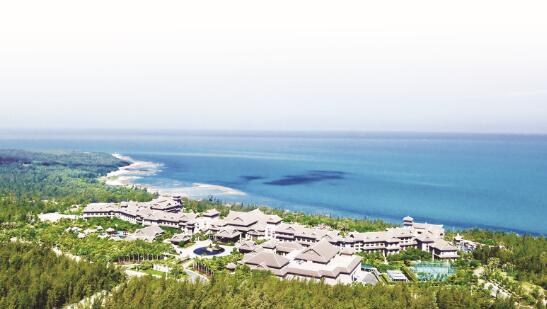 1606477341325500.jpg 2.jpg