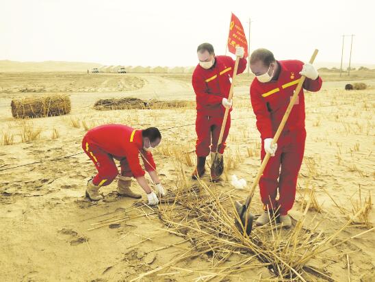 1606478833998141.jpg 1.jpg