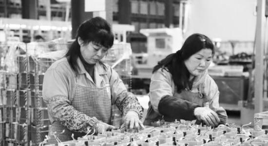 1614605269574449.jpg 1.jpg