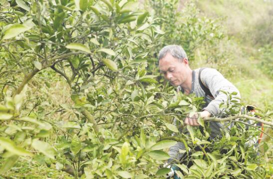 1615803826346201.jpg 1.jpg