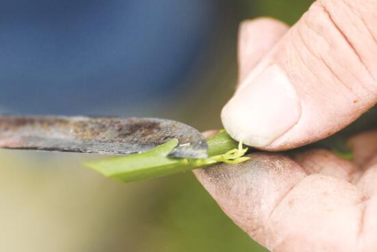 1615803845119403.jpg 2.jpg