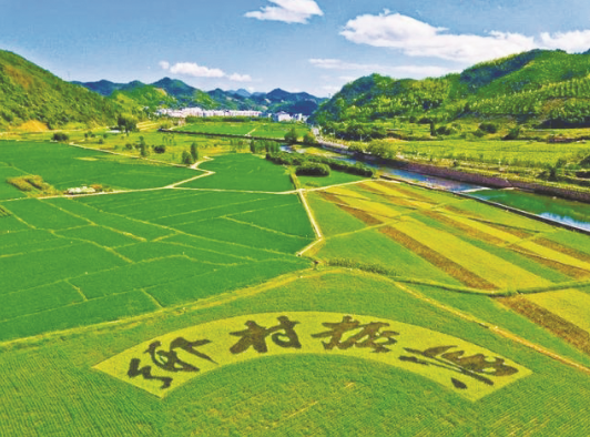 1617102509360287.png 2.png