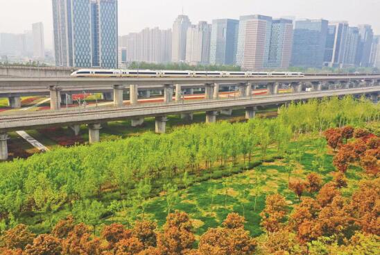 1618569549294268.jpg 4.jpg