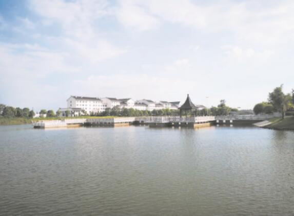 1622122097573245.jpg 4.jpg