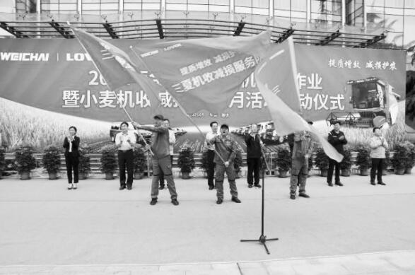 1622374991637146.jpg 4.jpg