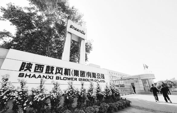 1622375031862118.jpg 1.jpg