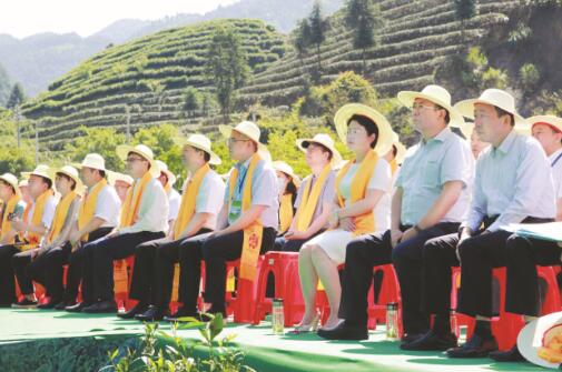 1623929827413479.jpg 1.jpg