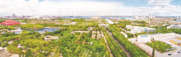 1626439146529153.jpg 1.jpg