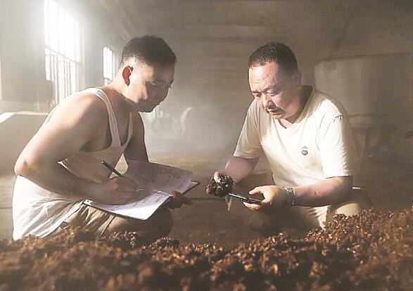 1626690650992645.jpg 3.jpg