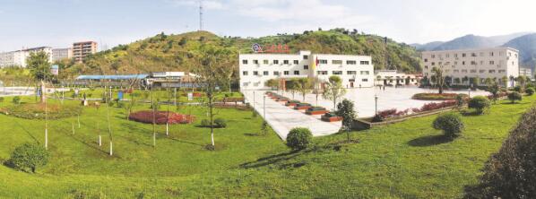 1630065276216770.jpg 2.jpg