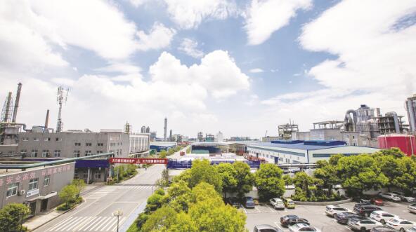 1631187895997542.jpg 1.jpg