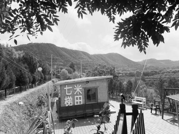 1631271083679634.jpg 2.jpg