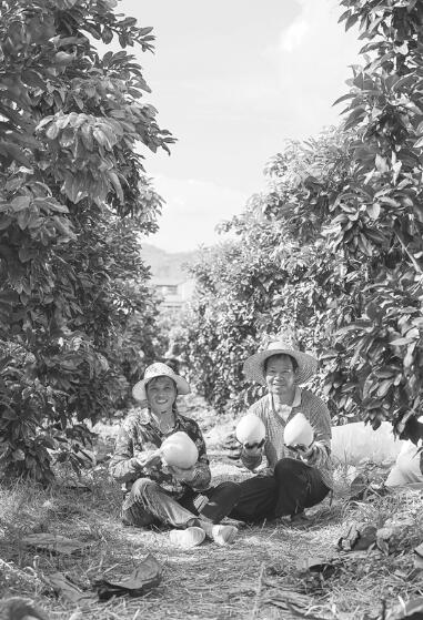 1631271147237772.jpg 1.jpg