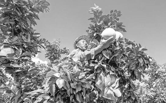 1631271167857964.jpg 2.jpg