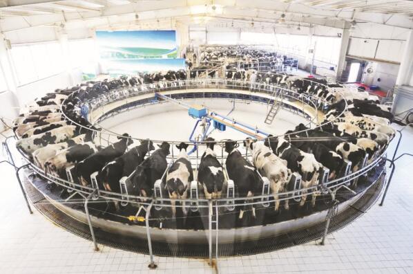 1631272014465672.jpg 1.jpg