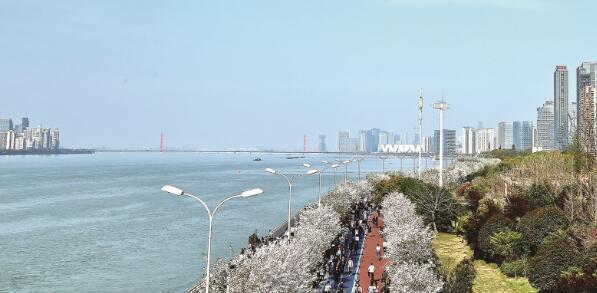 1631282017956813.jpg 1.jpg