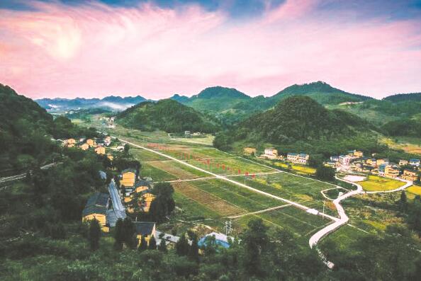 1631282214182217.jpg 1.jpg