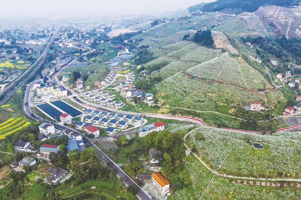 1631282341865789.jpg 2.jpg