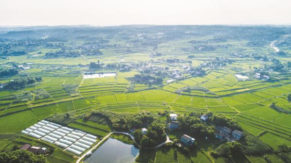 1631282363443633.jpg 3.jpg