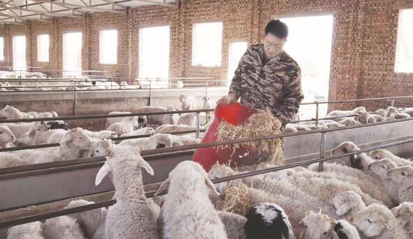 1631283008129132.jpg 5.jpg