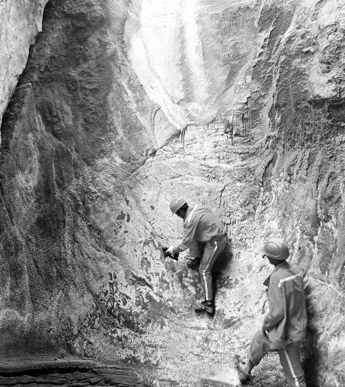 1631283420928873.jpg 1.jpg