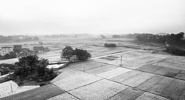 1635505286978150.jpg 1.jpg