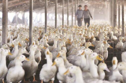 1636101053950208.jpg 2.jpg