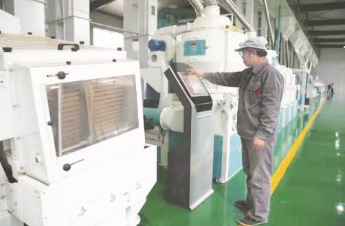 1636707296806501.jpg 1.jpg