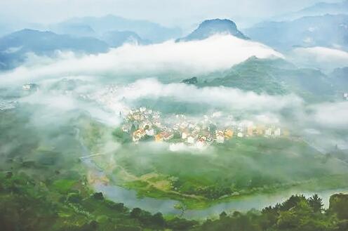 1636722912165306.jpg 1.jpg