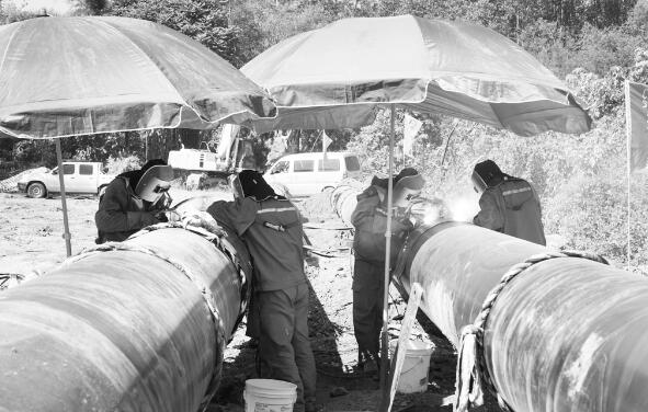 1636726129793663.jpg 1.jpg