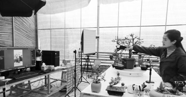 1636977916128374.jpg 1.jpg