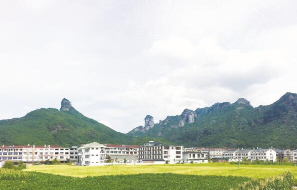 1637577987445174.jpg 1.jpg